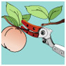 果実、枝を確実につかむ標準タイプ。毛虫・蓑虫やトゲに触れずに安全に作業できます。(採収部＜ツカミ＞は取り外すことができます。)