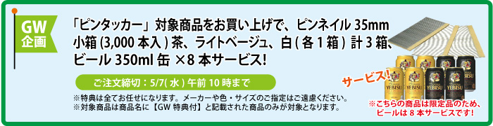 ピンネイル&缶ビール8本 サービス