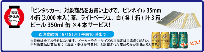 ピンネイル＆缶ビール4本 サービス