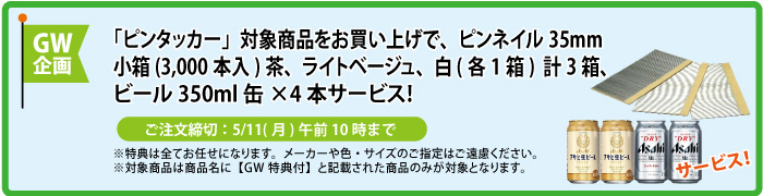 ピンネイル＆缶ビール4本 サービス