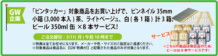ピンネイル＆缶ビール8本 サービス