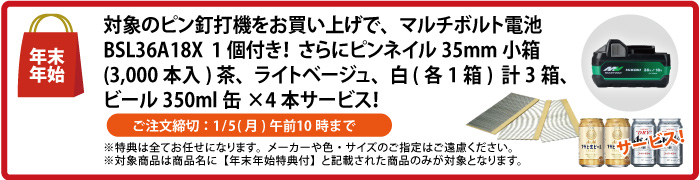 電池1個付　ピンネイル＆缶ビール4本 サービス