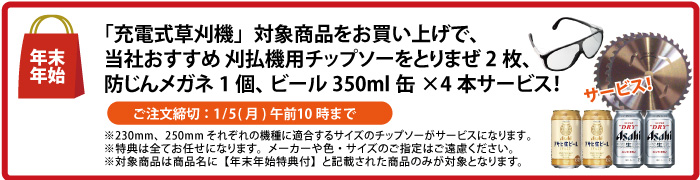 チップソー2枚＆防じんメガネ＆缶ビール4本 サービス