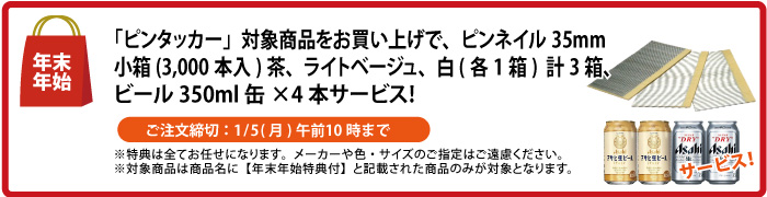 ピンネイル＆缶ビール4本 サービス