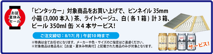 ピンネイル&缶ビール4本 サービス