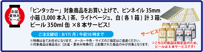 ピンネイル＆缶ビール8本 サービス