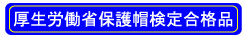 厚生労働省保護帽検定合格品