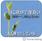 EC値が丁度良い