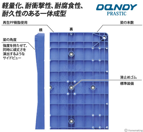 ダンディプラスチックフレーム