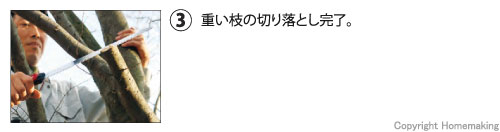重い枝の切り落とし完了。