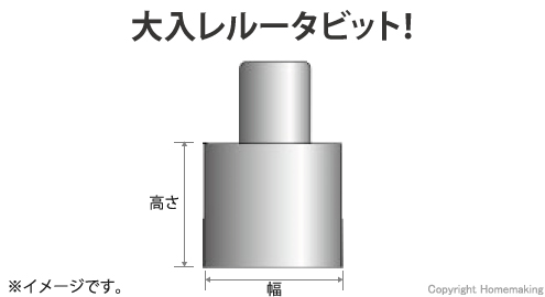 大入レルータビット