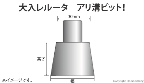 大入レルータビット