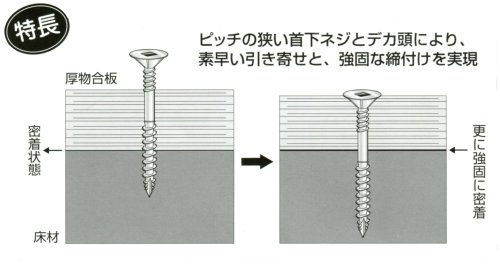 特長