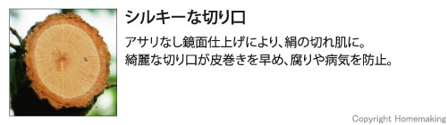 アサリなし鏡面仕上げにより、絹の切れ肌に。綺麗な切り口が皮巻きを早め、腐りや病気を防止。