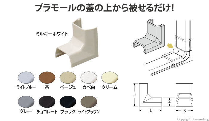 入ズミ　1号