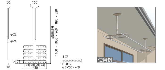 サイズ