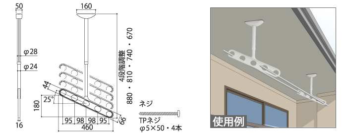 サイズ