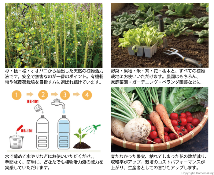 無害、野菜、果物、米、茶、花、樹木