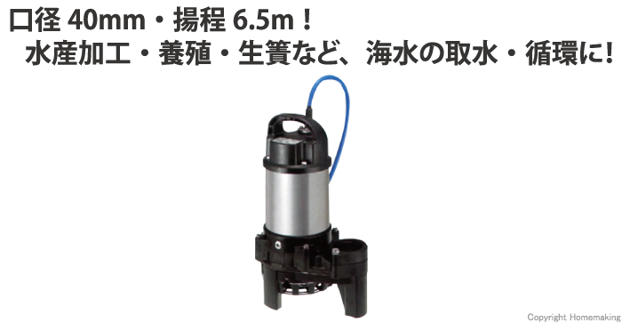 セール品 海水用水中チタンポンプ TM型 非自動形 50Hz 口径40mm 0.25KW 単相100V メーカー直送 代引不可 ツルミポンプ  40TM2.25S-50Hz