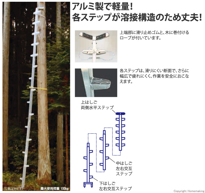 枝打ちはしご