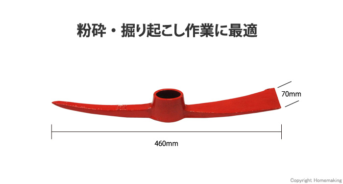 バチツル 1.5kg頭のみ 倉