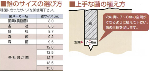 しいたけ錐(高速リード型)