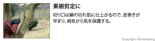 果樹剪定に。切り口は絹の切れ肌に仕上がるので、皮巻きが早まり、病気から気を保護する。