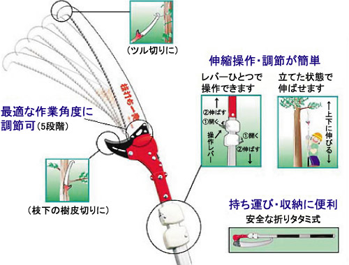 枝打ち一発（枝打ち鋸）