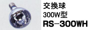 RE型300W投光器(屋外用)