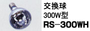 RG型300W投光器(屋外用)