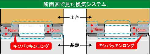 キソパッキンロング