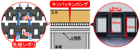 キソパッキンロング