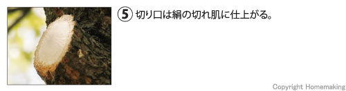 切り口は絹の切れ肌に仕上がる。