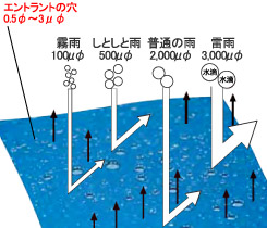 ントラントの穴と水蒸気、雨滴サイズとの関係