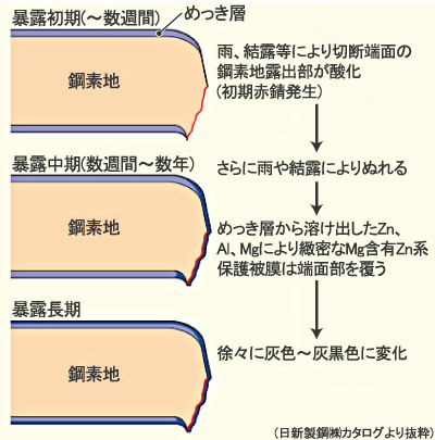 切断端面部の耐食性発現機構