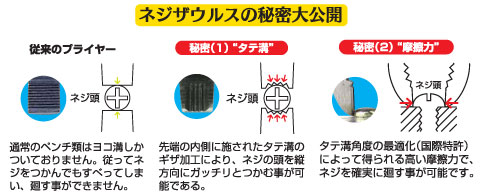 ネジザウルスの秘密大公開