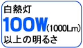 白熱灯100W(1000Lm)同等の明るさ