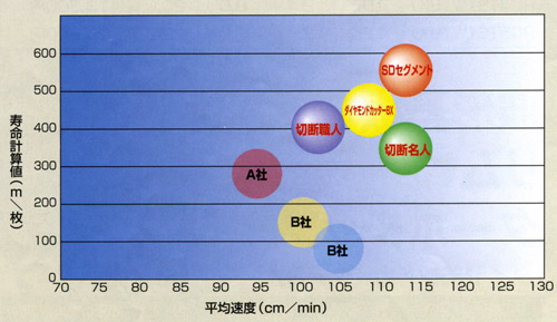 SDセグメント