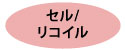 セルとリコイルの2方式