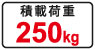 積載荷重250kg