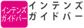 チェン引き機構内臓のガイドバー