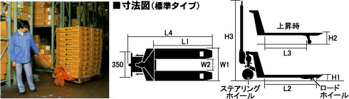 標準型・標準タイプ