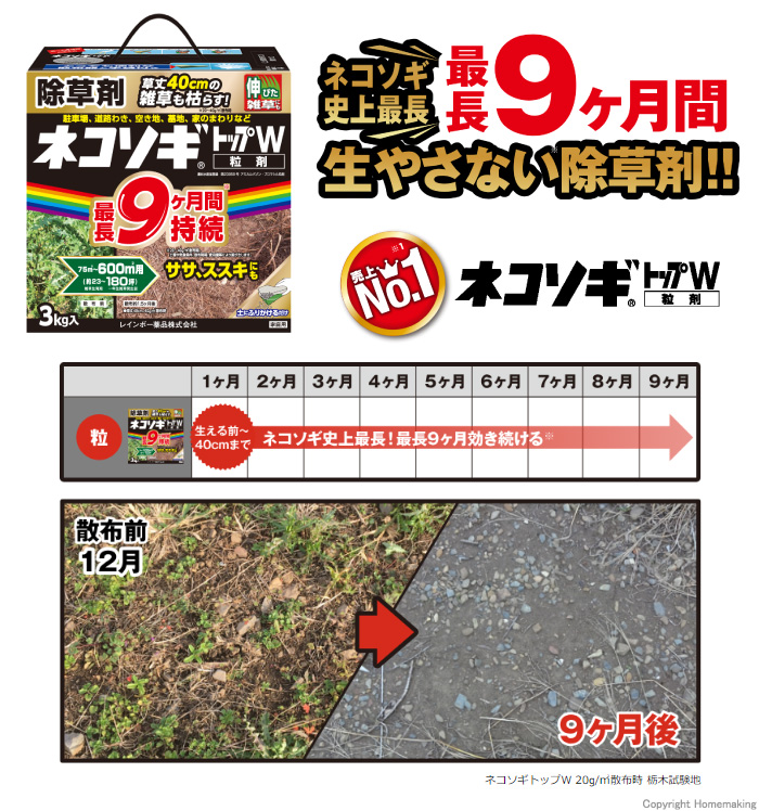 ネコソギトップW