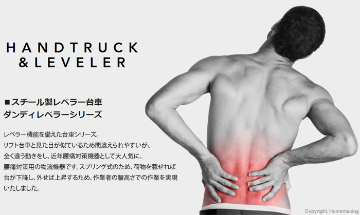腰痛対策機器 ダンディレベラー
