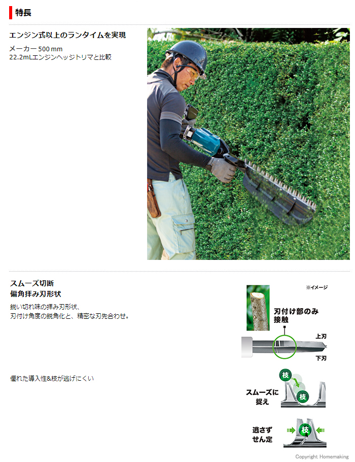 特長 特長