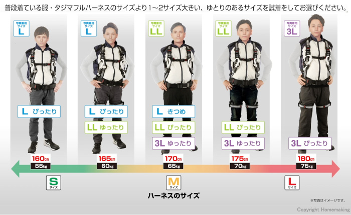 タジマツール 清涼ファン風雅ベスト2 フルセット L: 他:FV