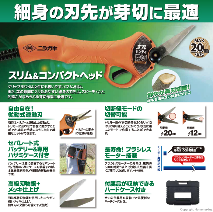 特長
