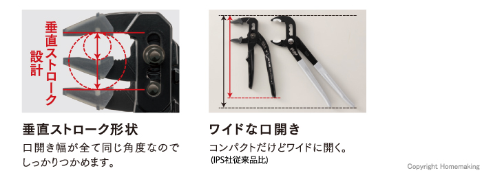 特長